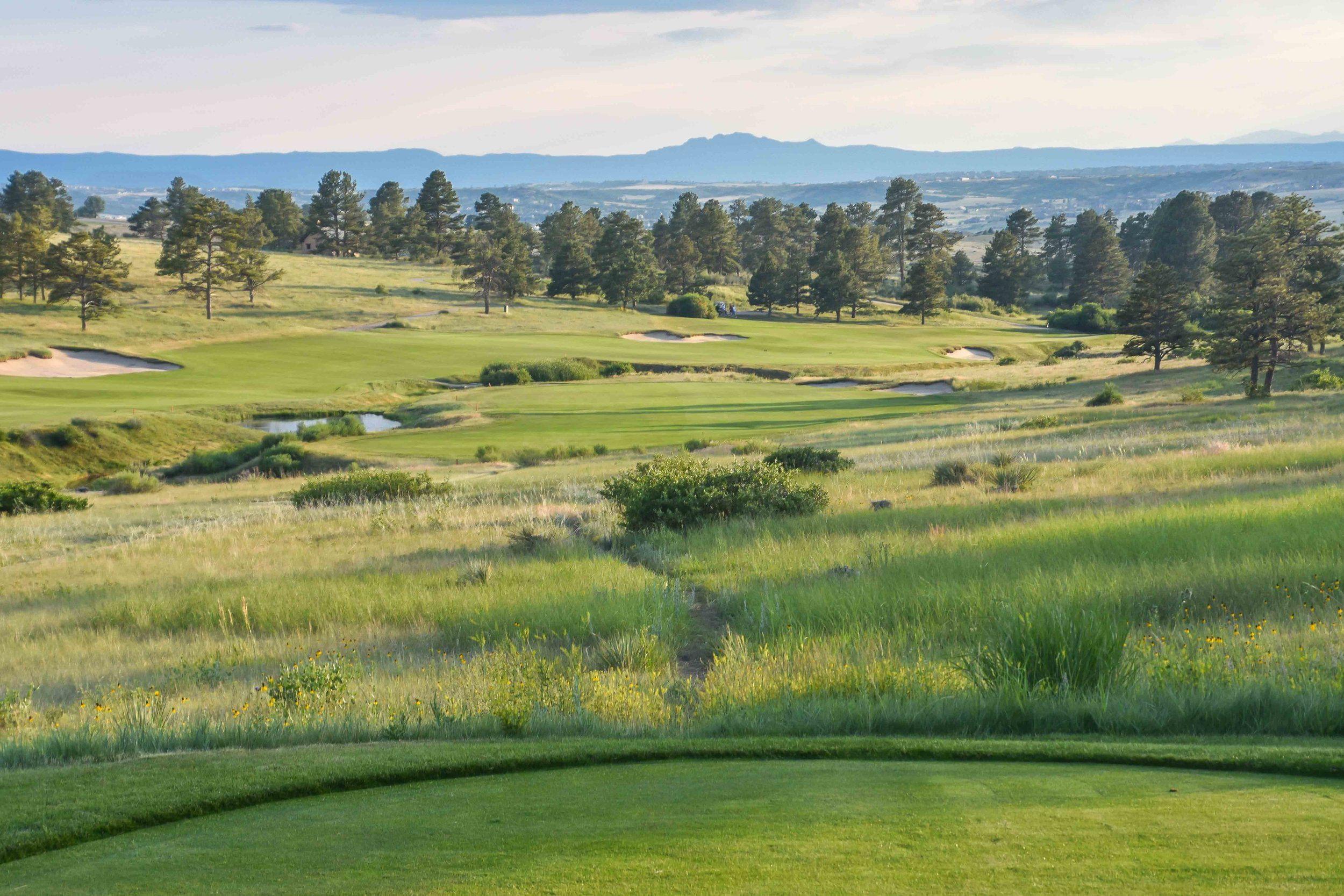 National Champ - Colorado Golf Association