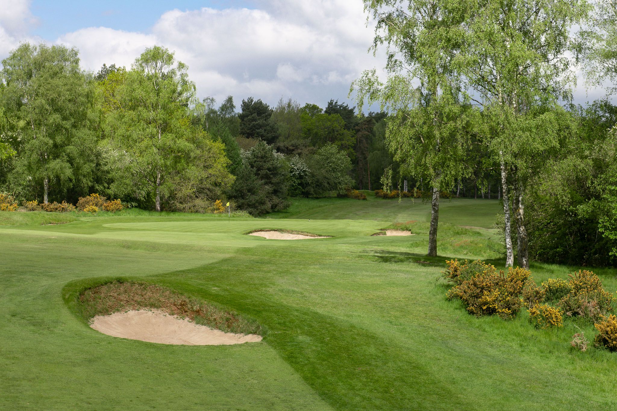 Home :: Northamptonshire County Golf Club