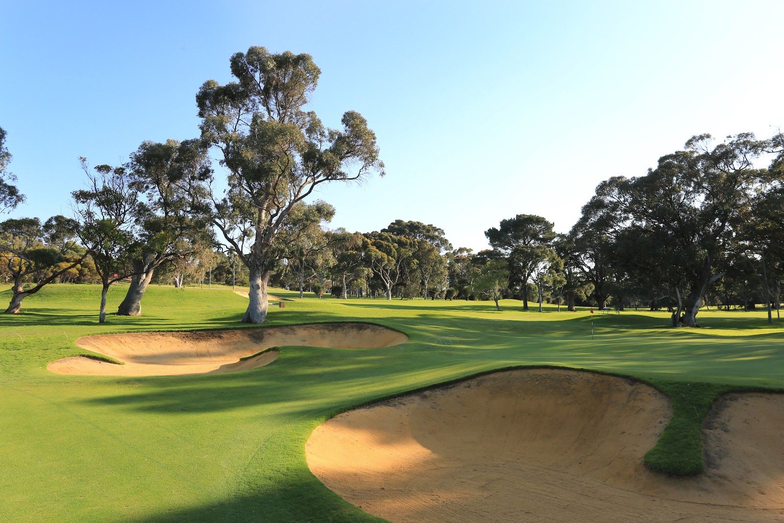 Top 100 Golf Courses