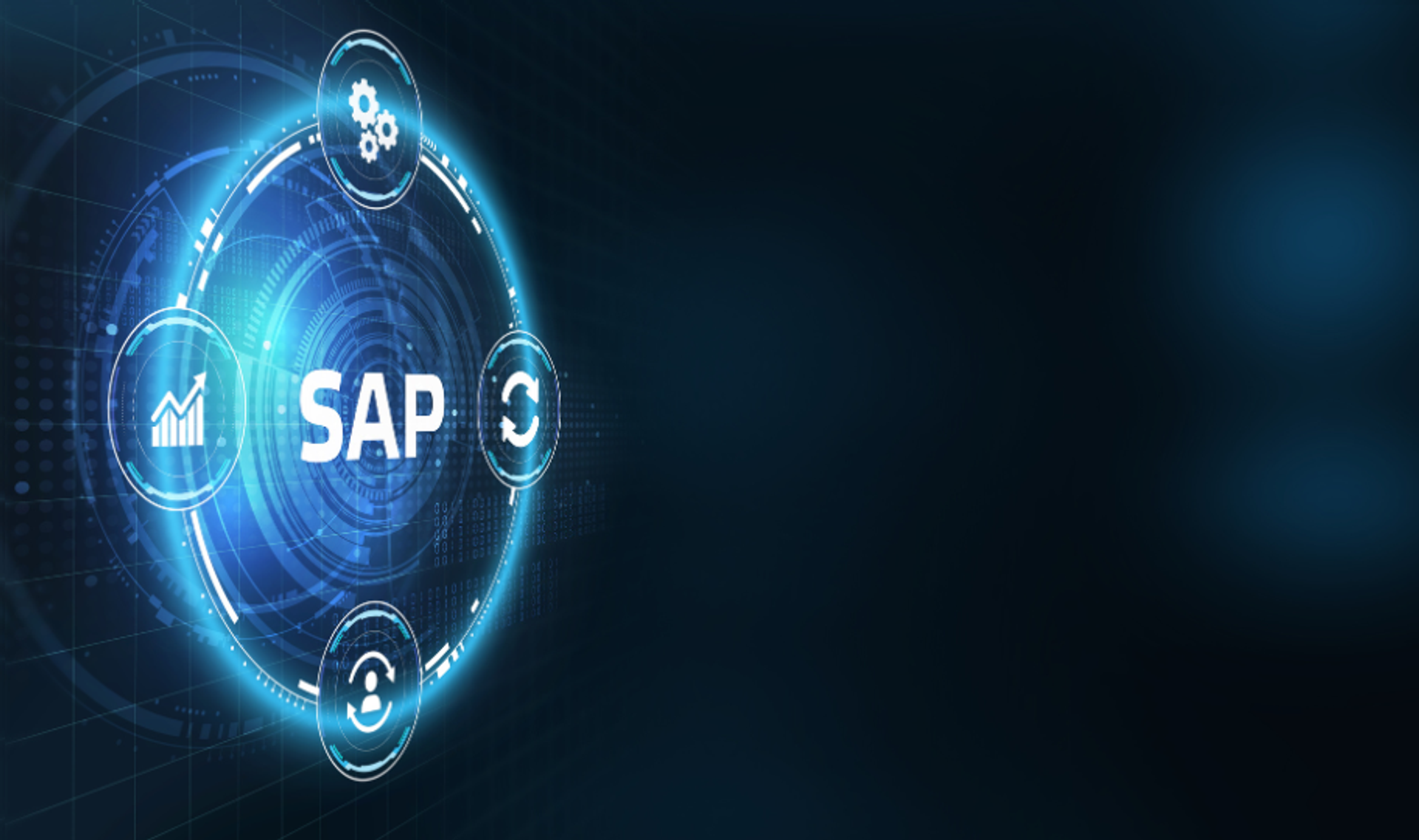 SAP Solutions - Sapphire Technocrats Pvt. Ltd.