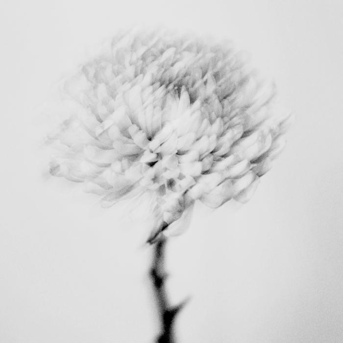 Unfold