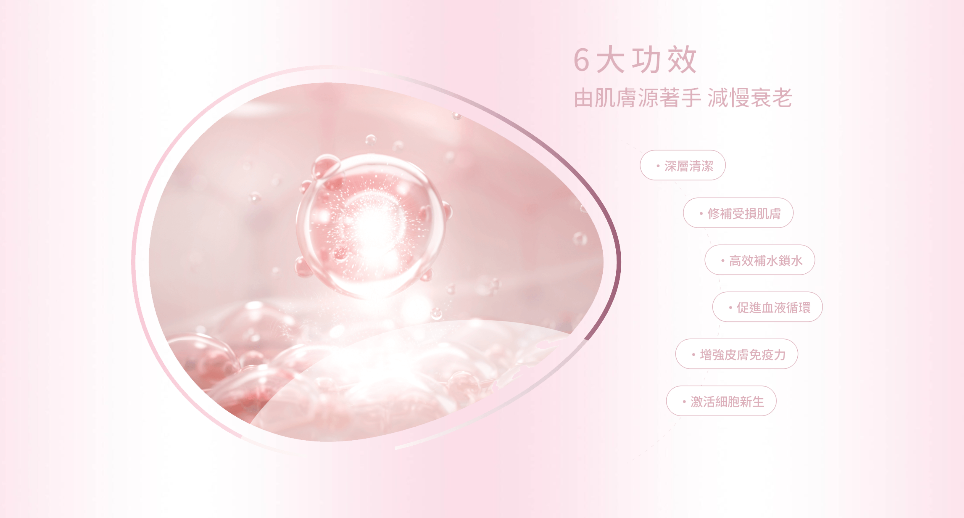 【全港首創】- Cell Master 360° 智能細胞管理三步曲