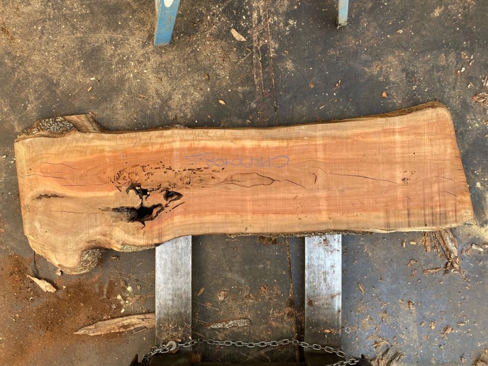 Angel City Lumber