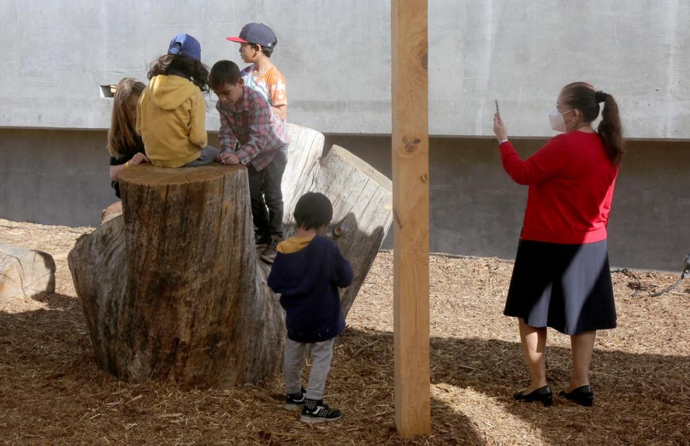 Angel City Lumber media carousel slide NaN
