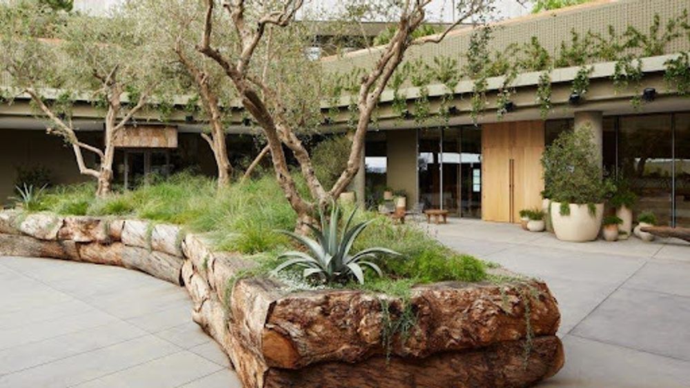Cover photo for Angel City Lumber Press, Dezeen: Lush courtyards surround 1 Hotel West Hollywood in Los Angeles
