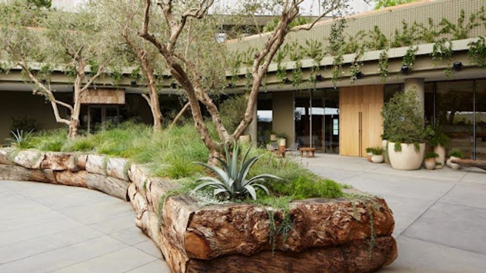 Cover photo for Angel City Lumber Press, Dezeen: Lush courtyards surround 1 Hotel West Hollywood in Los Angeles