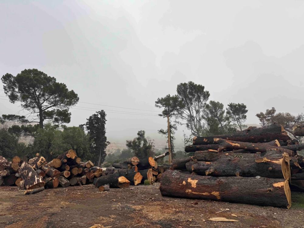 Angel City Lumber media carousel slide NaN