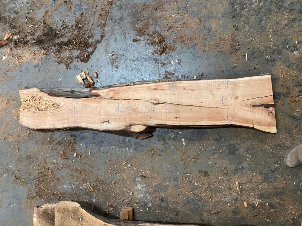 Angel City Lumber