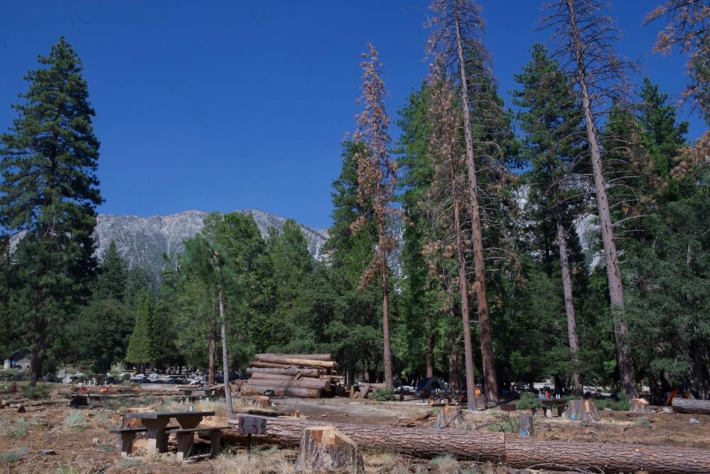 Angel City Lumber media carousel slide NaN