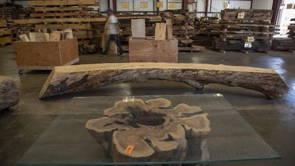 Cover photo for Angel City Lumber Press, LA Times: Downed L.A. trees are reborn as design items in homes and restaurants