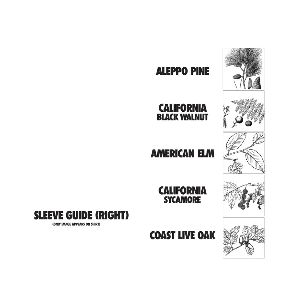 Angel City Lumber media carousel slide NaN