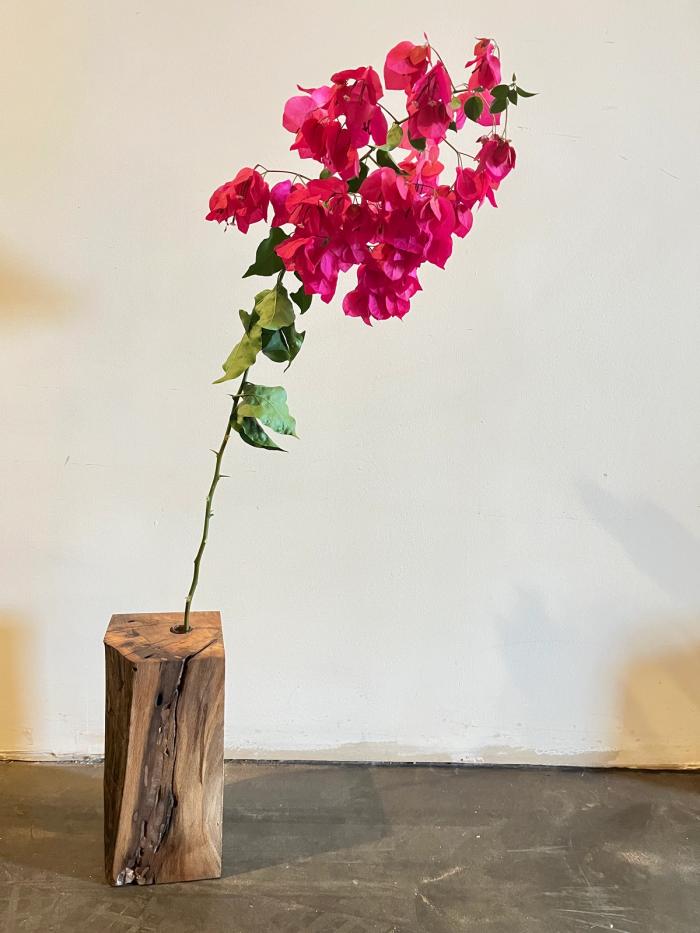 Poster for Sycamore Blaze Vase