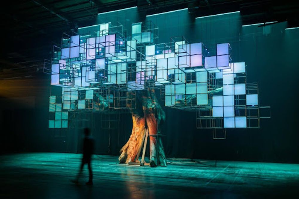 Cover photo for Angel City Lumber Press, LA Times: Step Into Glenn Kaino's Magical and Immersive Forest Installation