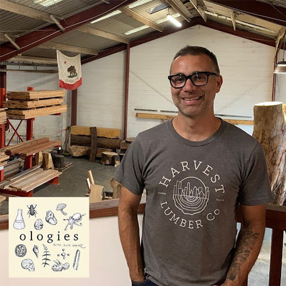 Cover photo for Angel City Lumber Press, Ologies Podcast: Xylology
