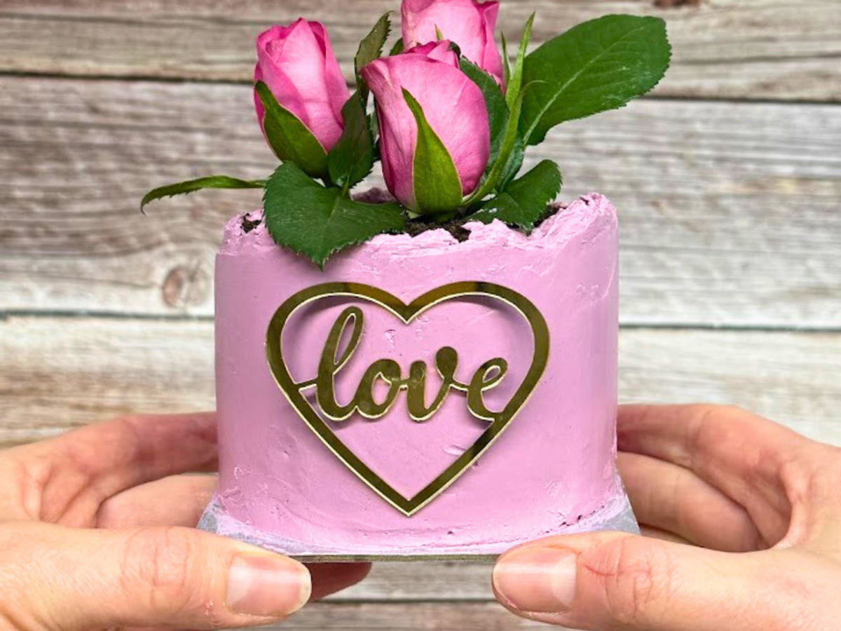 Valentine's Day cake with flower pot design and floral decoration
