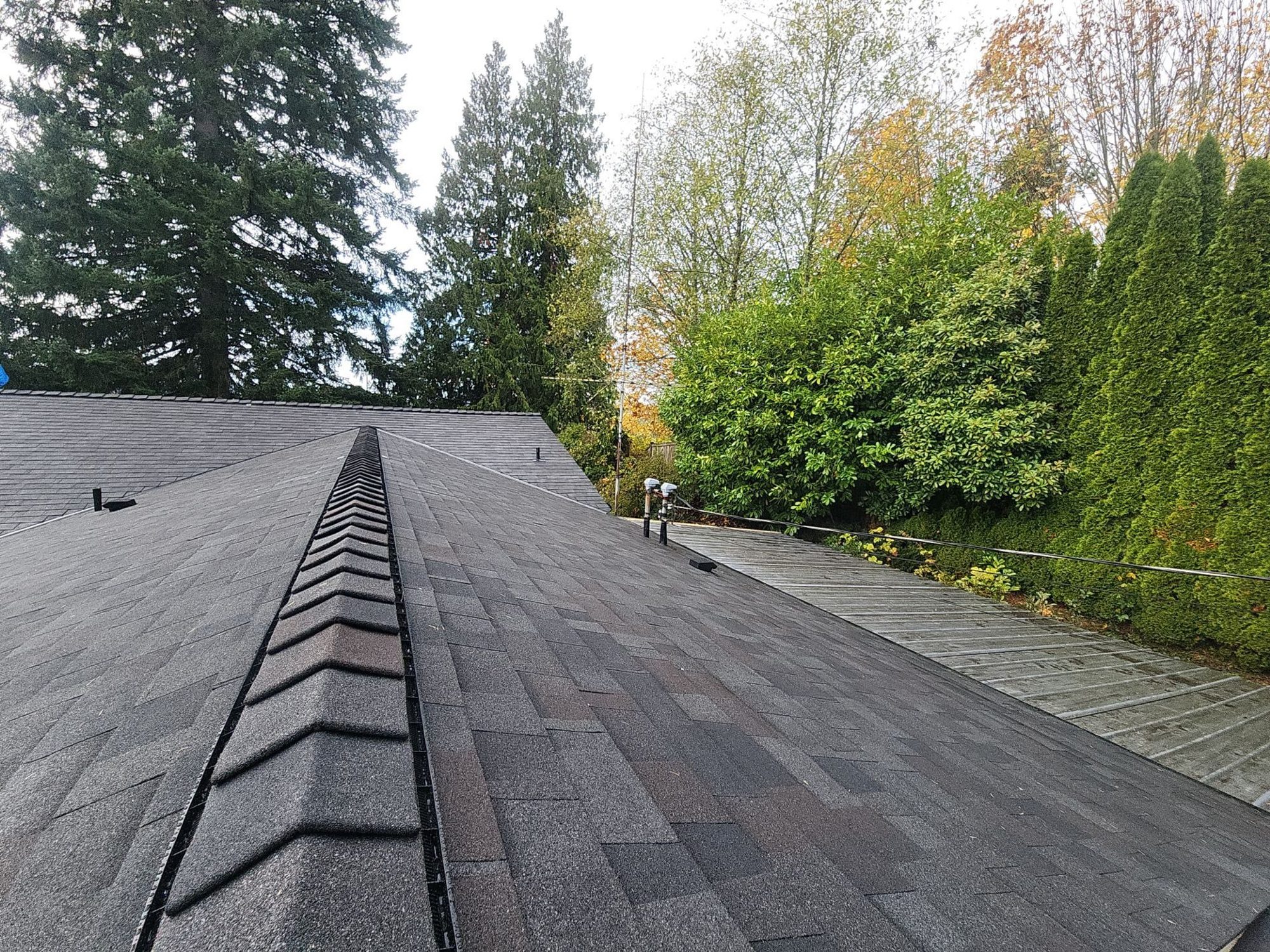 Amor Roofing Black Oak asphalt roof in Snohomish, ridge vent run