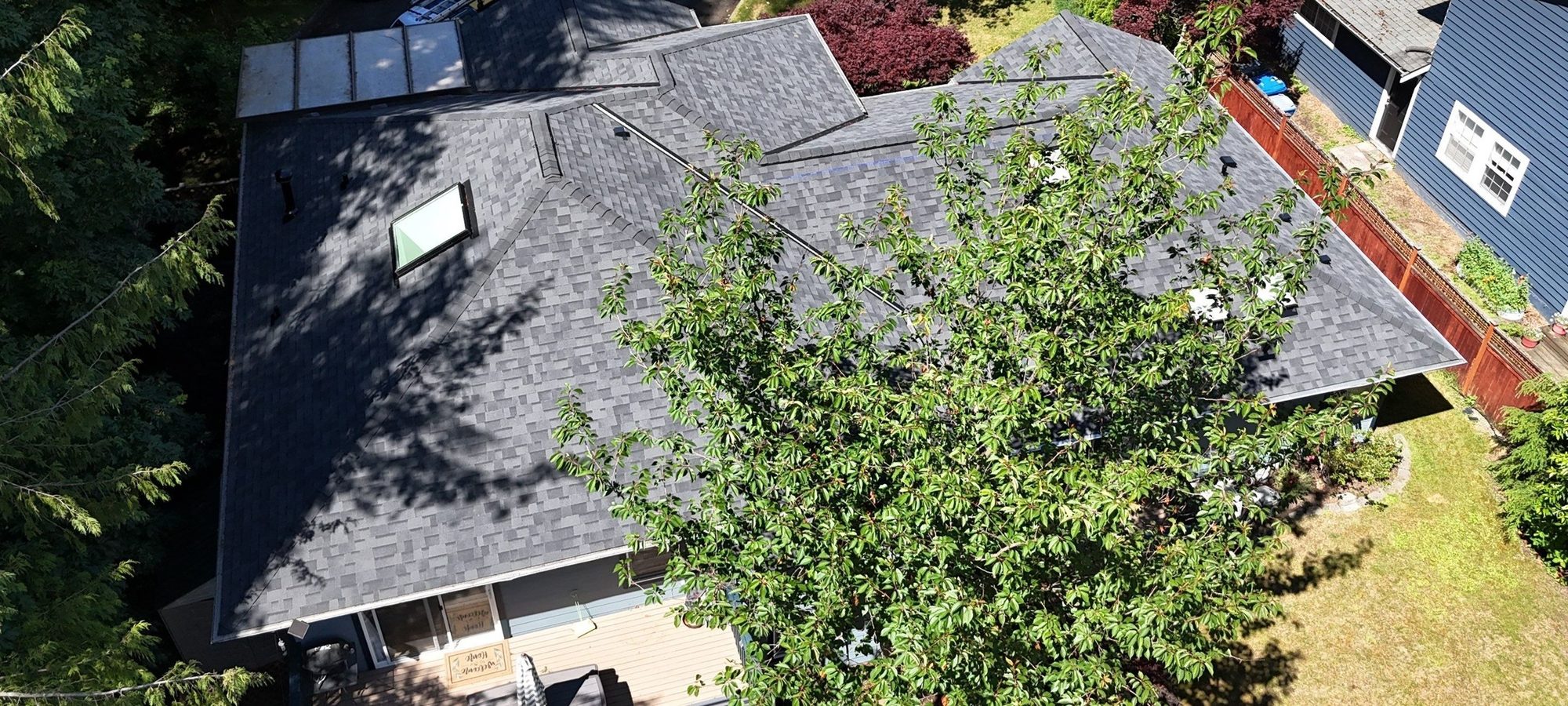 Aerial of the Malarkey Vista Midnight Black asphalt shingle roof beside the second maple, Edmonds, WA