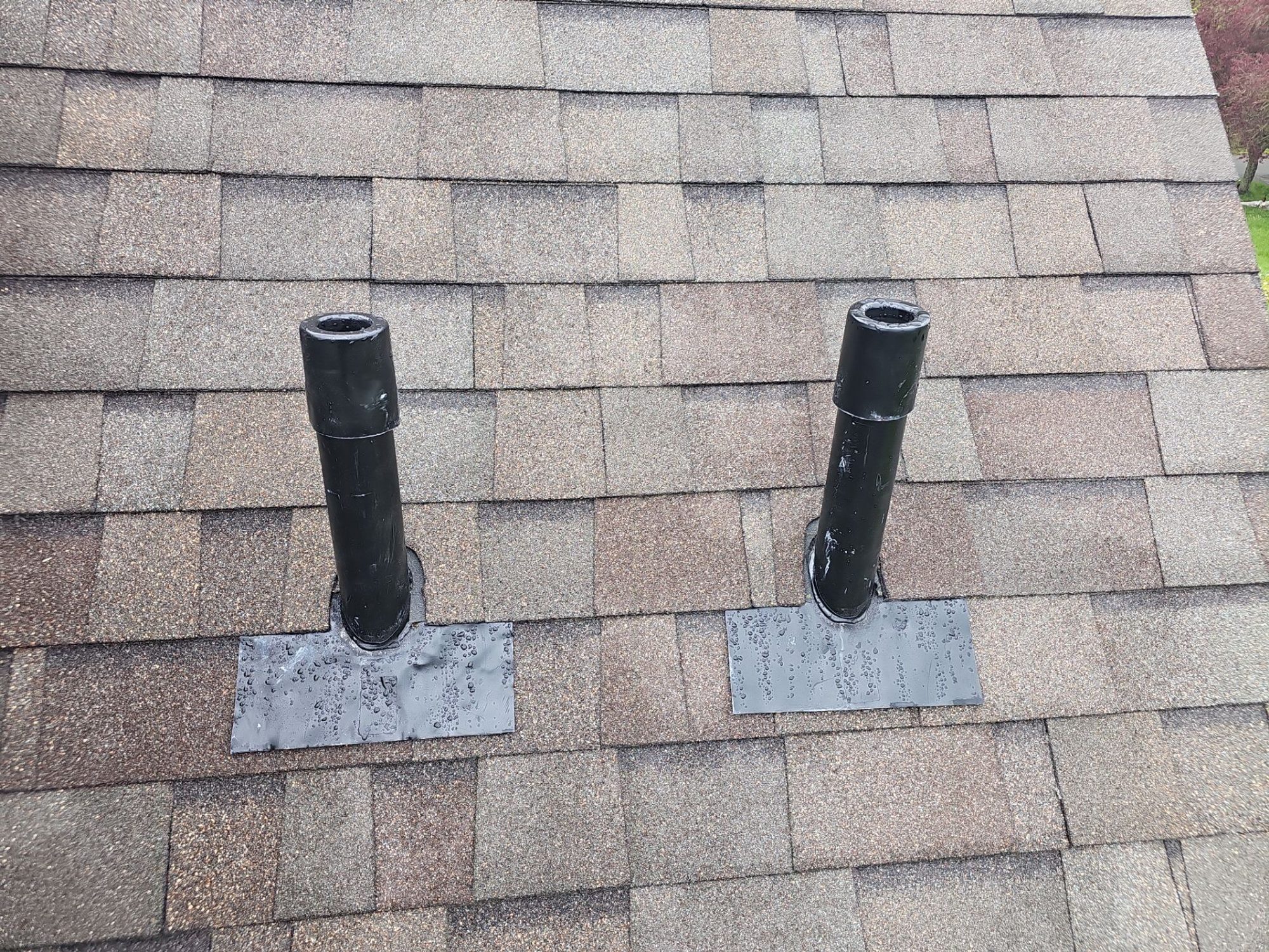 Pipe vent pair flashed into the Malarkey Vista Natural Wood asphalt shingle roof, Snohomish, WA