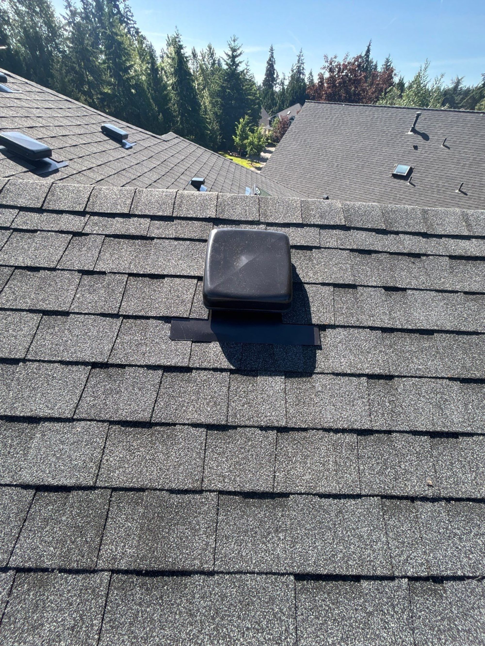 Ridge of the Pabco Premier Antique Black asphalt shingle roof with a box vent, looking toward the street, Bothell, WA