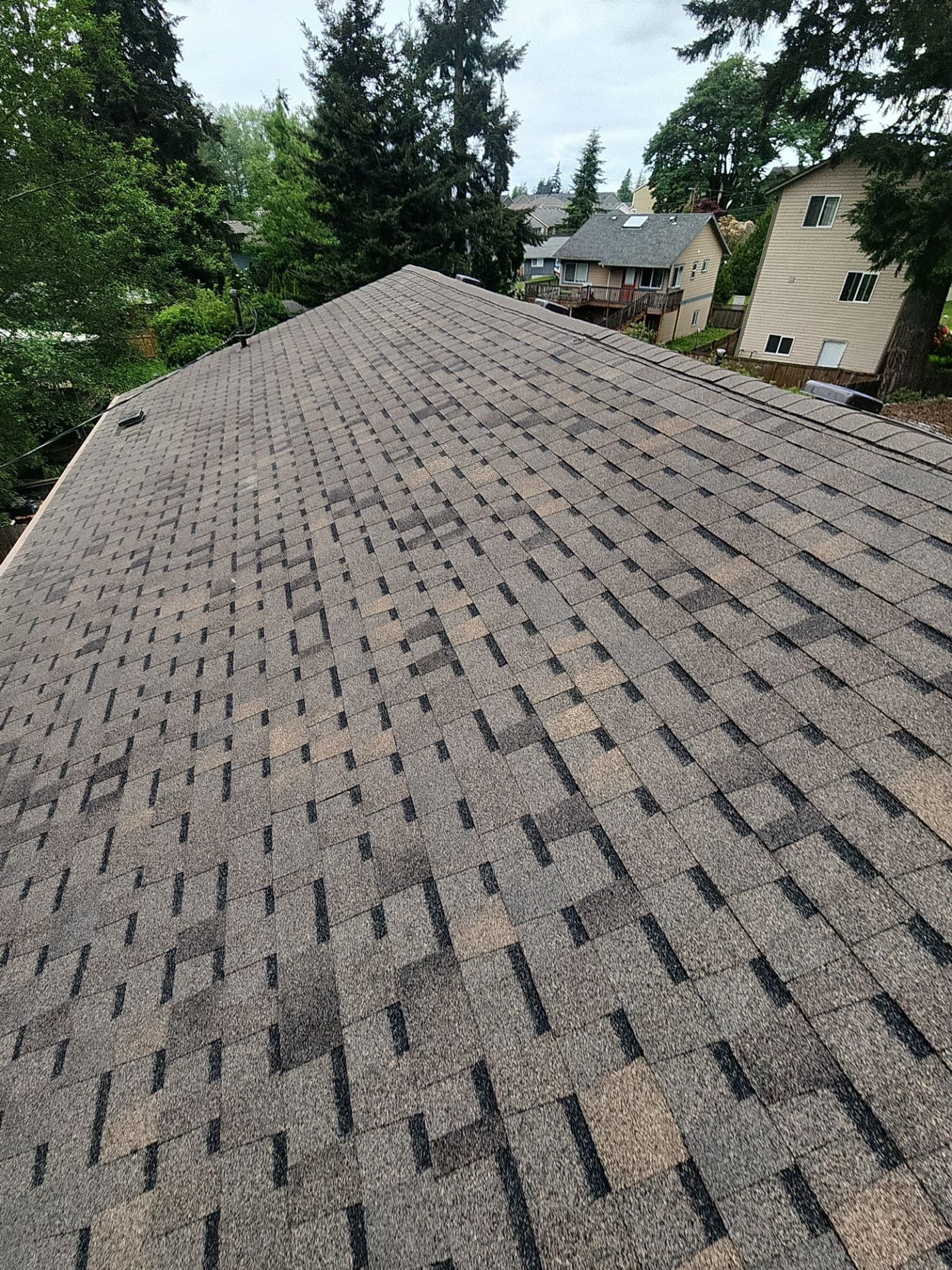 Amor Roofing Oakwood asphalt roof in Lynnwood, roof plane treeline