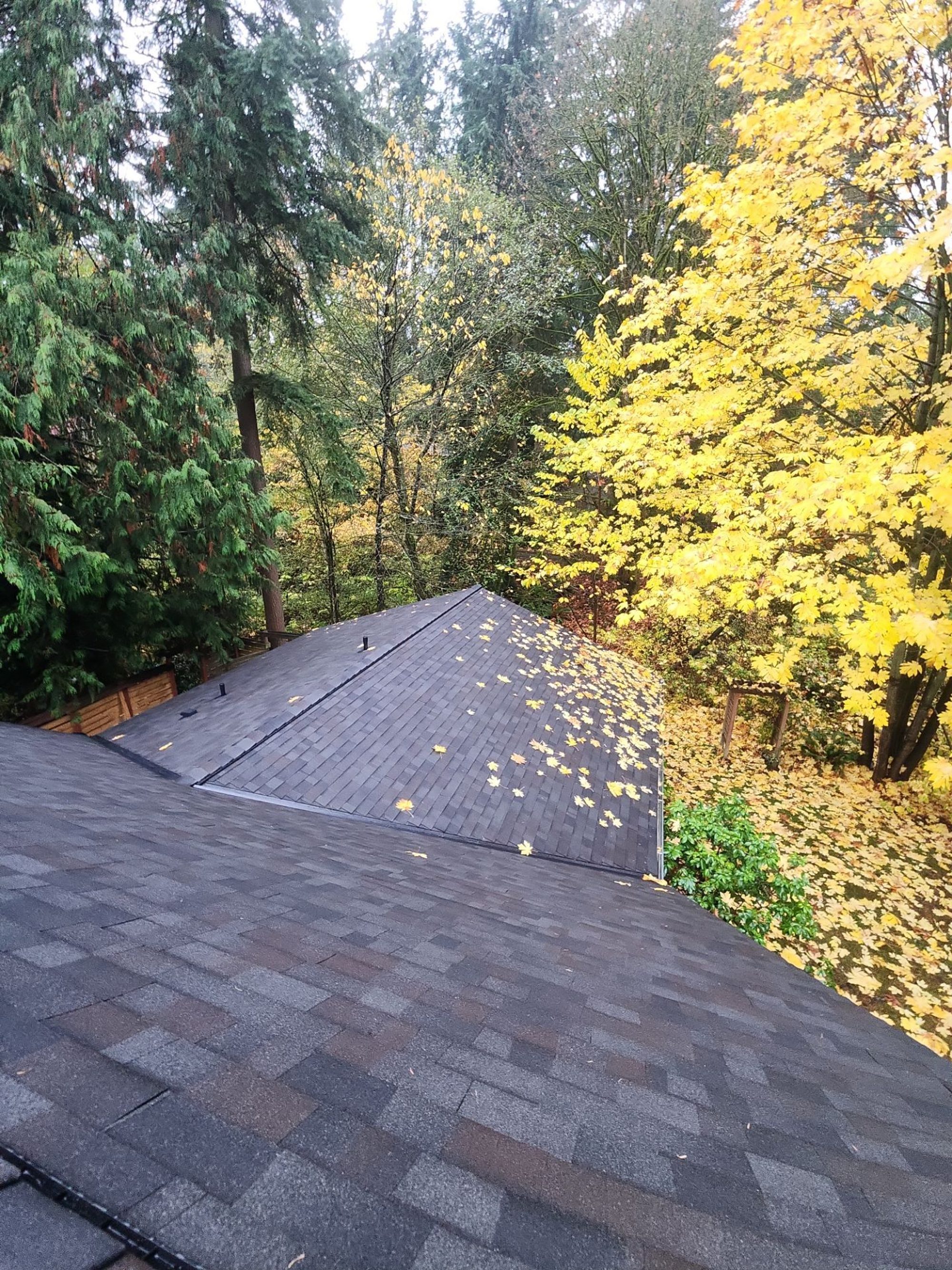 Amor Roofing Black Oak asphalt roof in Woodinville, wide roof 04