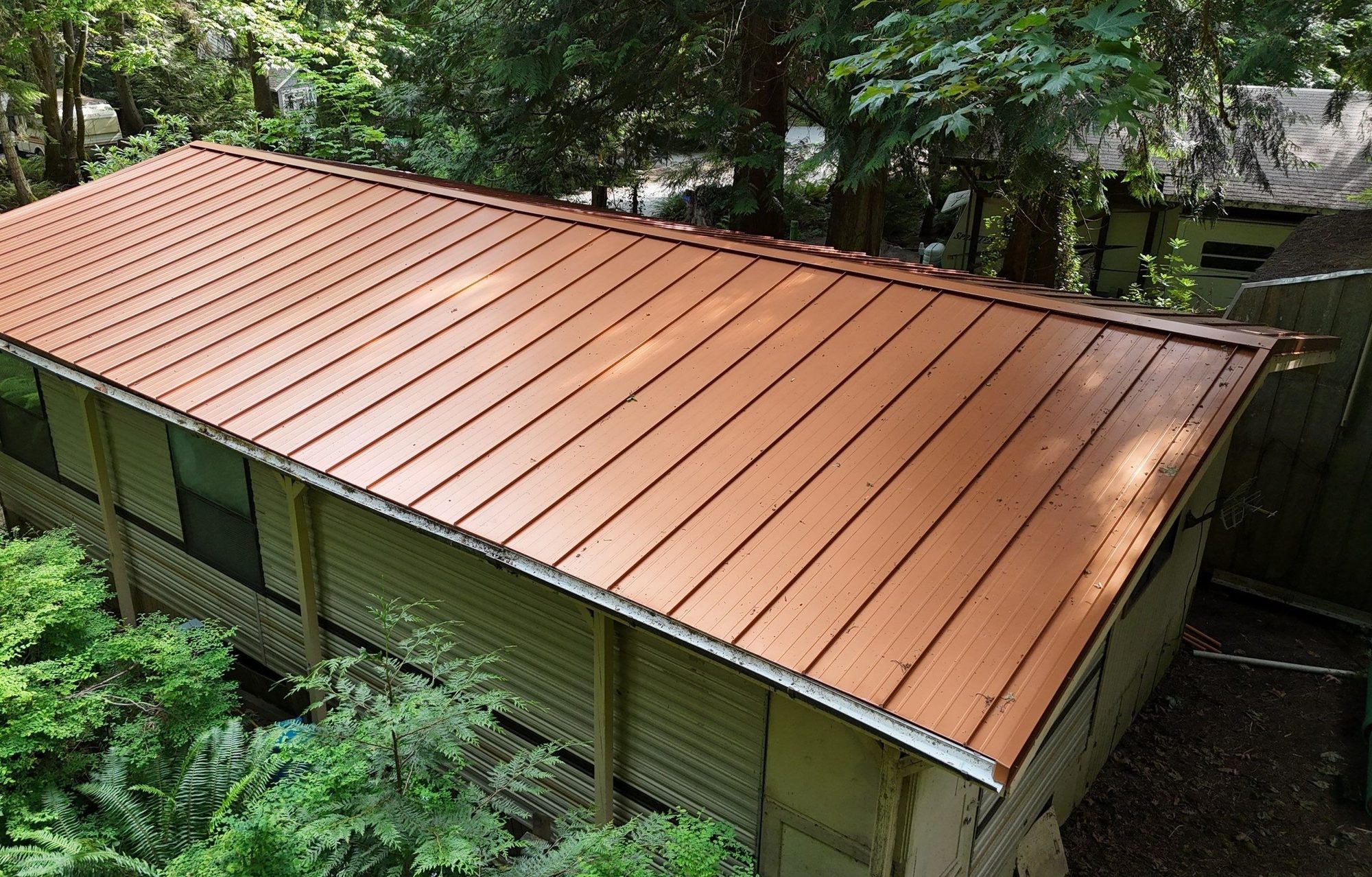 Finished Copper Penny standing seam metal roof over the cabin with the forest behind, Marysville, WA