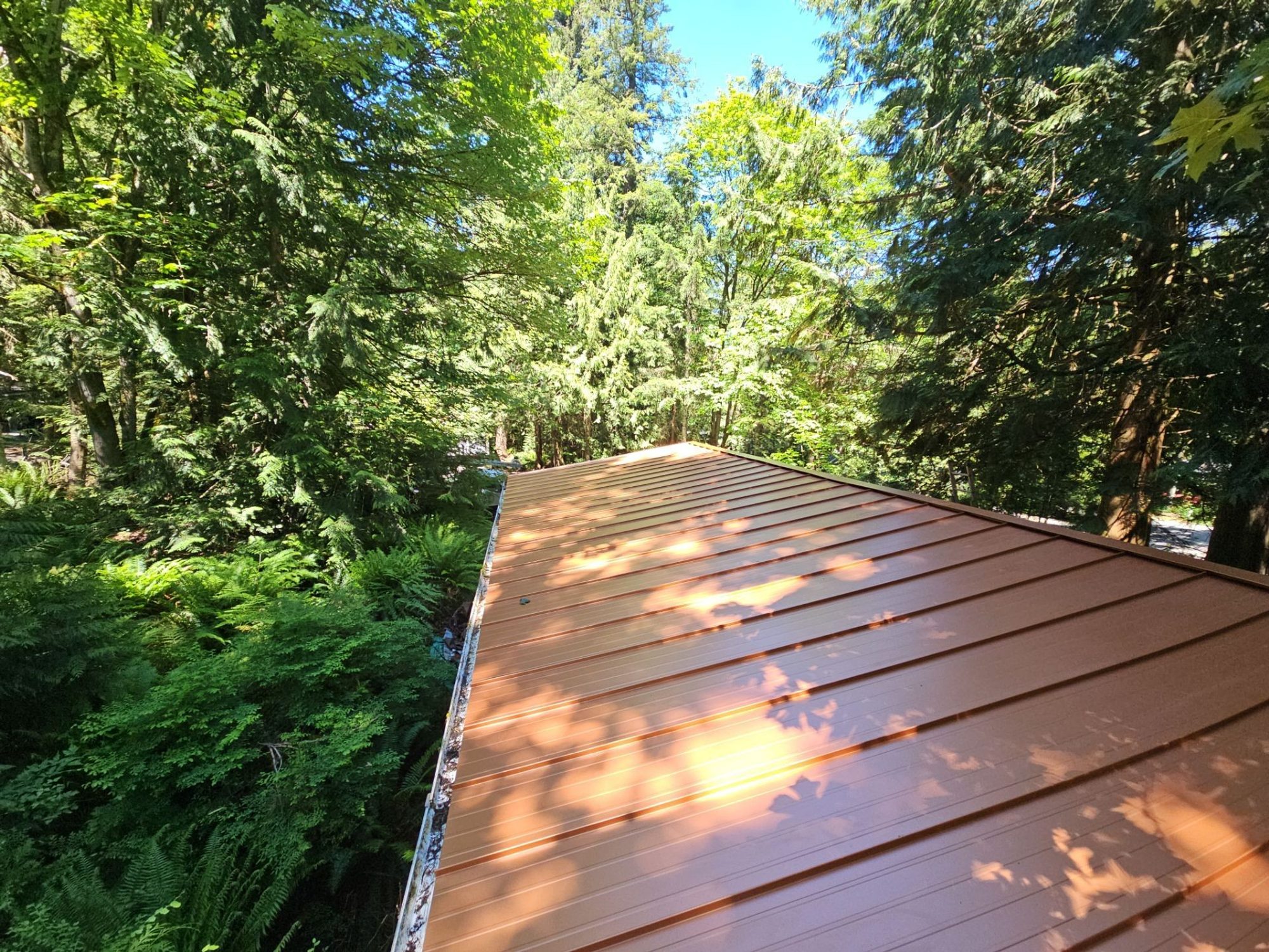 Standing seam panels of the Copper Penny standing seam metal roof in dappled light, Marysville, WA
