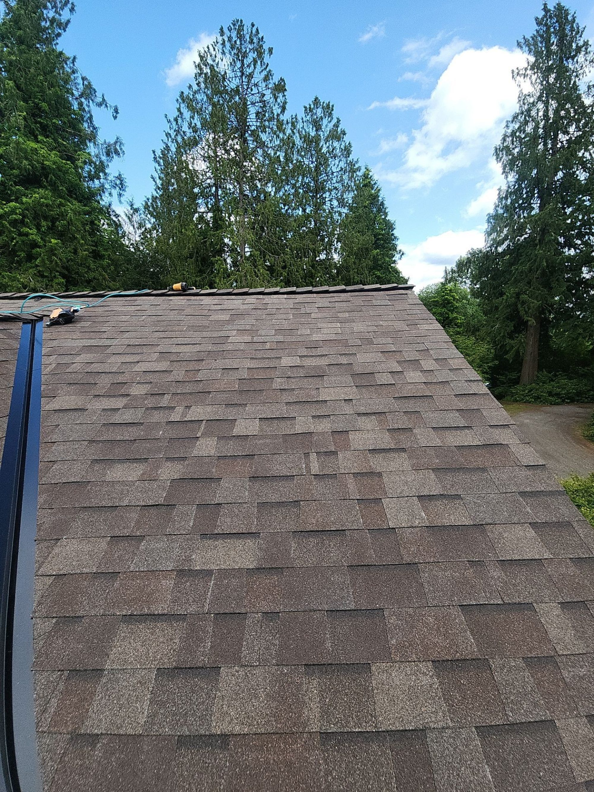 Ridge of the finished Malarkey Heather Grey asphalt shingle roof looking toward the trees, Lake Stevens, WA