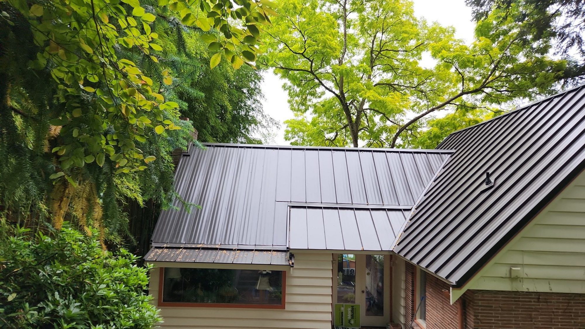 Front elevation of the finished Dark Bronze standing seam metal roof with the steep gable and bamboo behind, Bellevue, WA