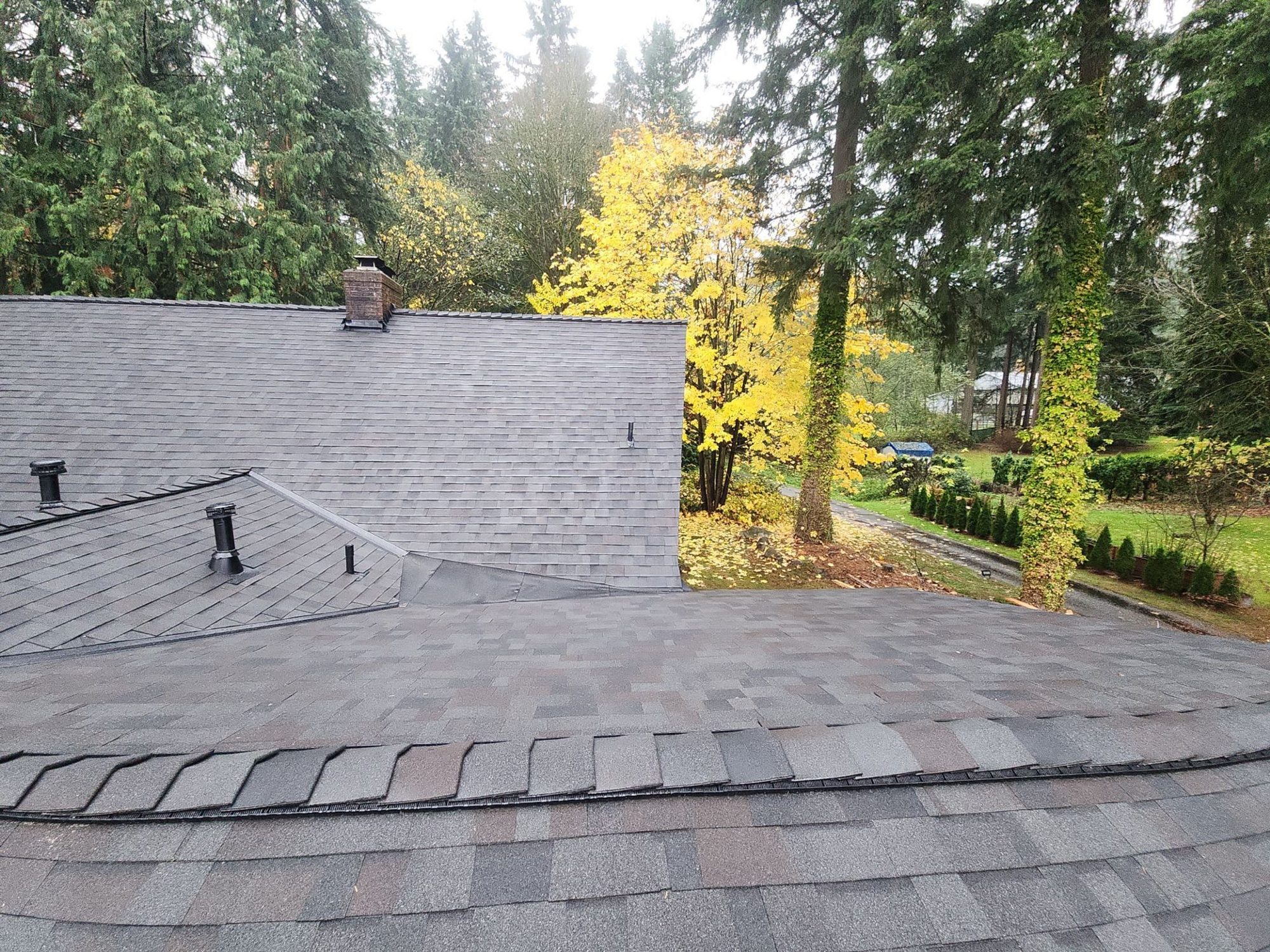 Finished Malarkey Vista Black Oak asphalt shingle roof and chimney with the maples in fall color, Woodinville, WA