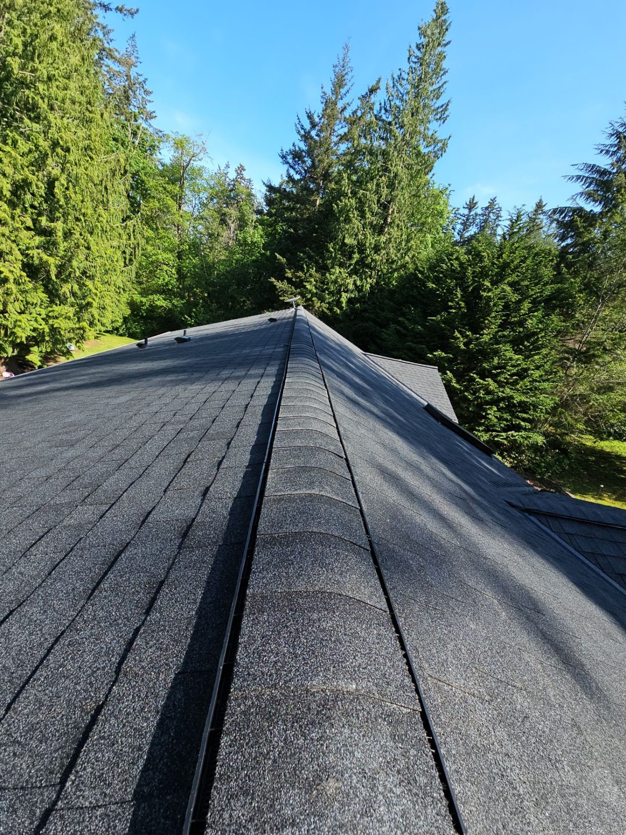 Ridge line of the Antique Black asphalt shingle roof toward the evergreens, Tulalip Bay, WA