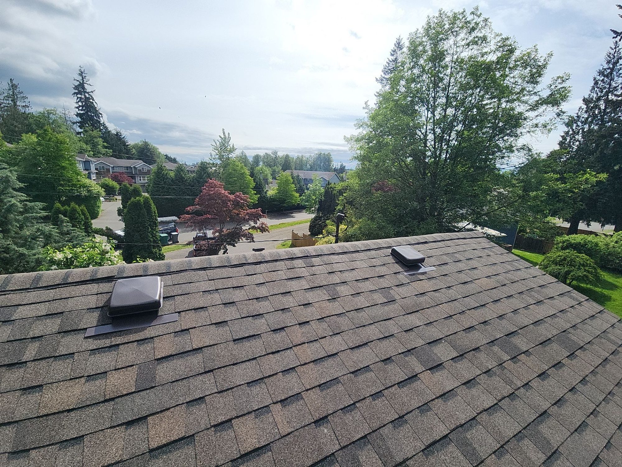 Finished Pabco Oakwood asphalt shingle roof with two vents looking out over the neighborhood, Lynnwood, WA, by Amor Roofing