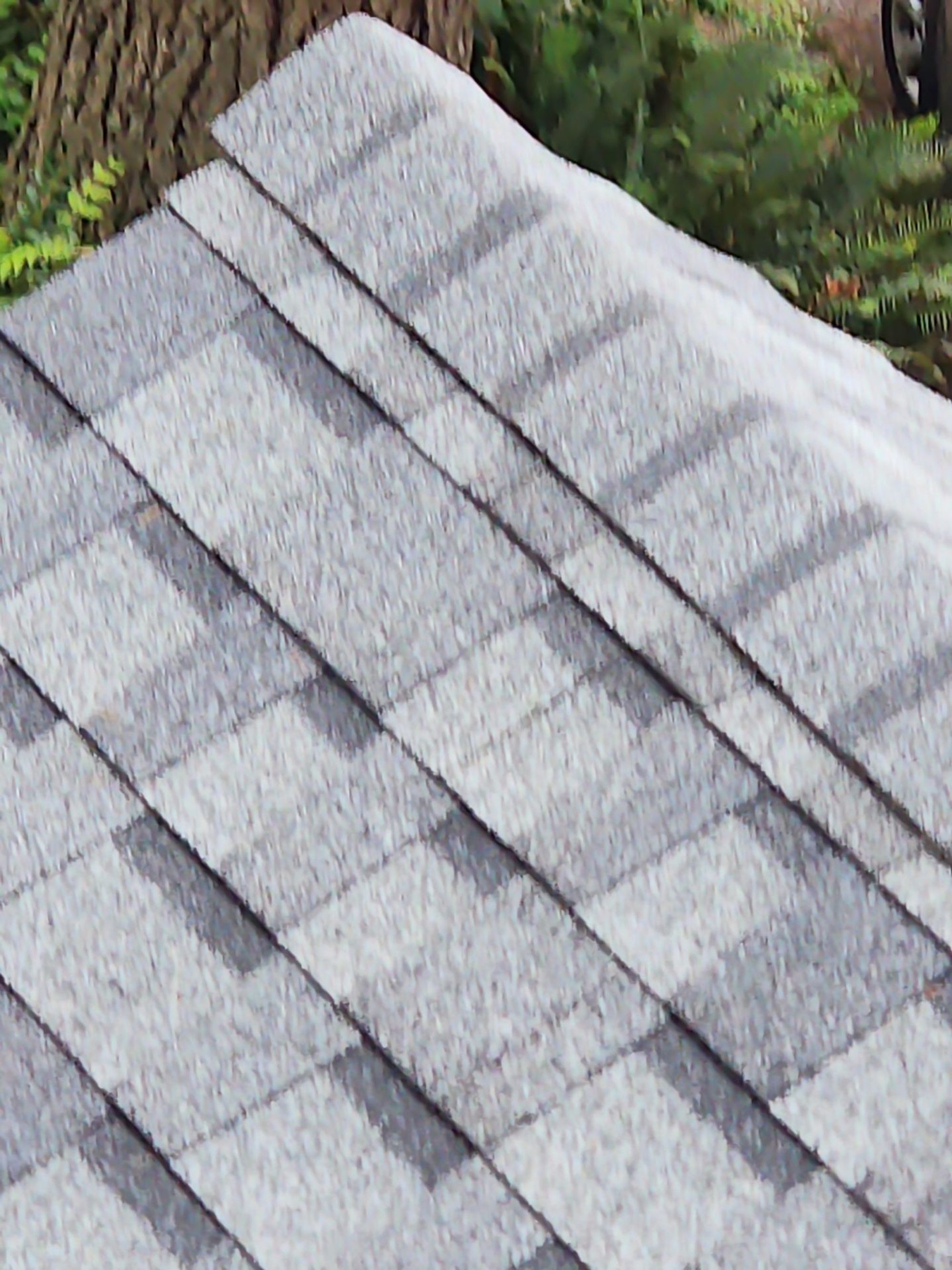 Ridge cap detail on the Pabco Premier Pewter Gray asphalt shingle roof, Lake Stevens, WA
