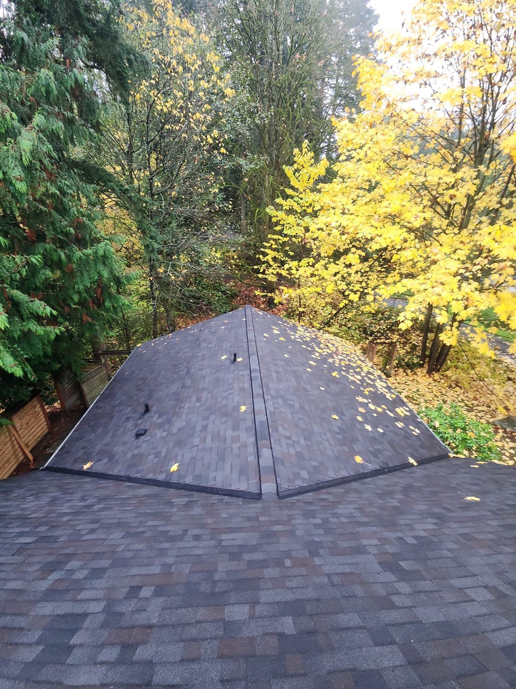 Amor Roofing Black Oak asphalt roof in Woodinville, wide roof 03