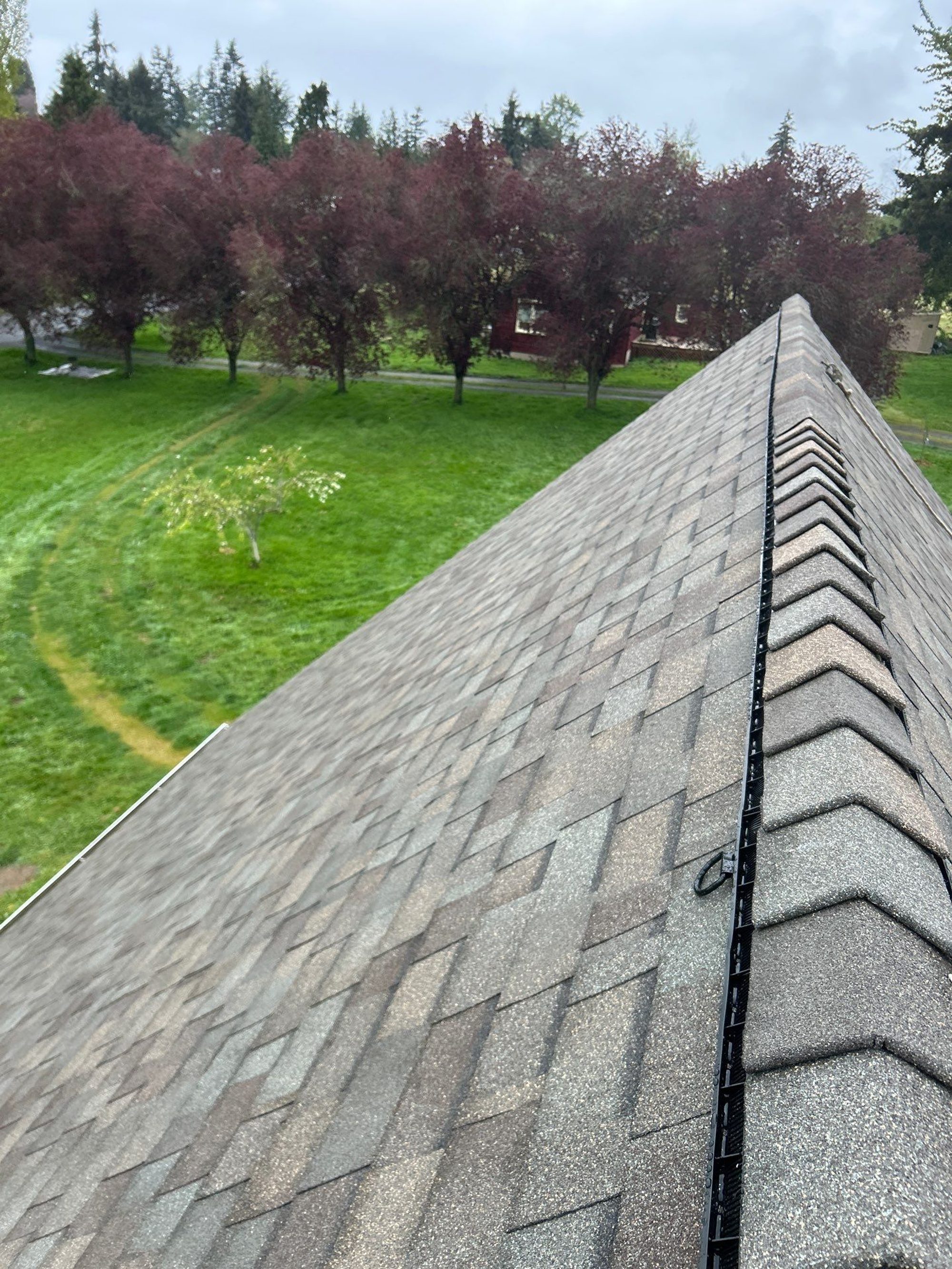 Completed Natural Wood asphalt roof ridge above the Snohomish property