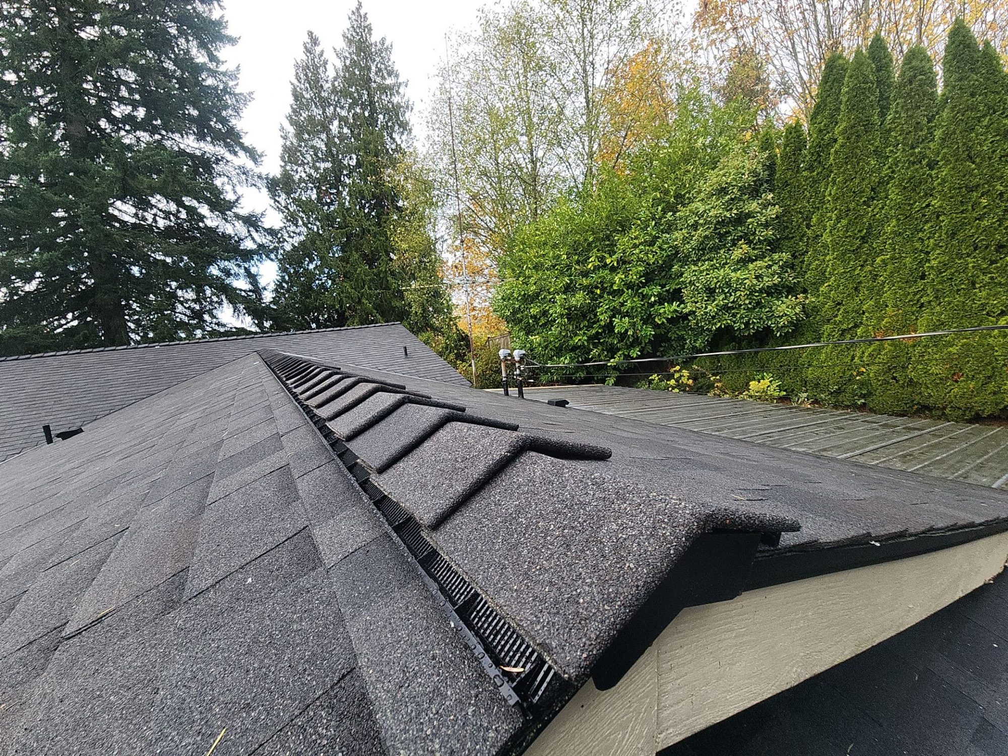 Amor Roofing Black Oak asphalt roof in Snohomish, ridge and hip