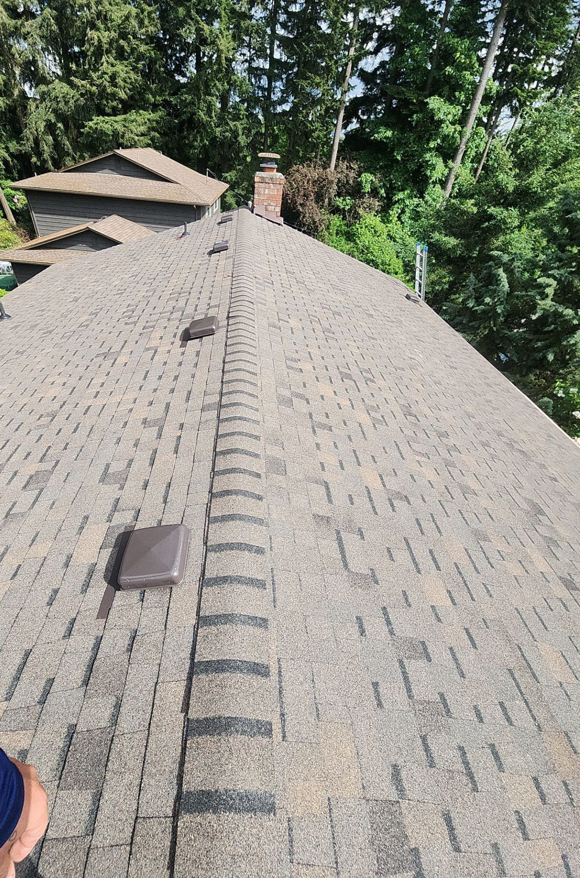 Ridge and vent run on the Pabco Oakwood asphalt shingle roof, Lynnwood, WA