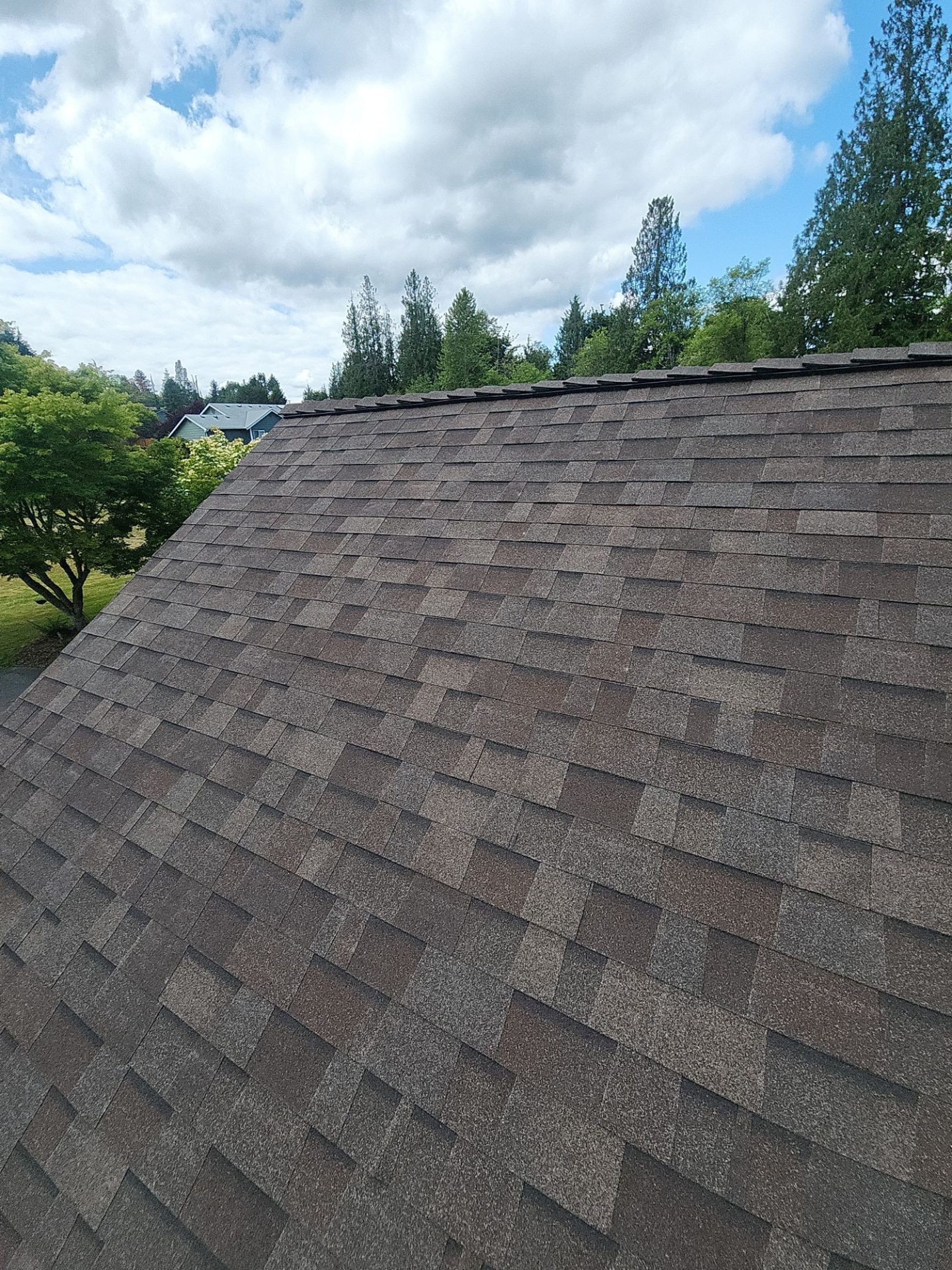 Finished Malarkey Heather Grey asphalt shingle roof slope against the evergreens under a bright sky, Lake Stevens, WA