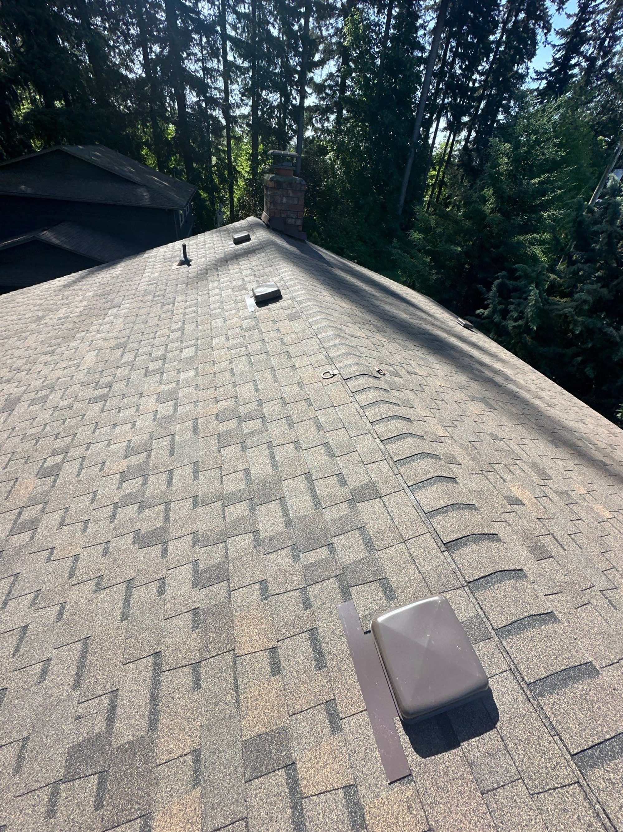Amor Roofing Oakwood asphalt roof in Lynnwood, ridge chimney vent