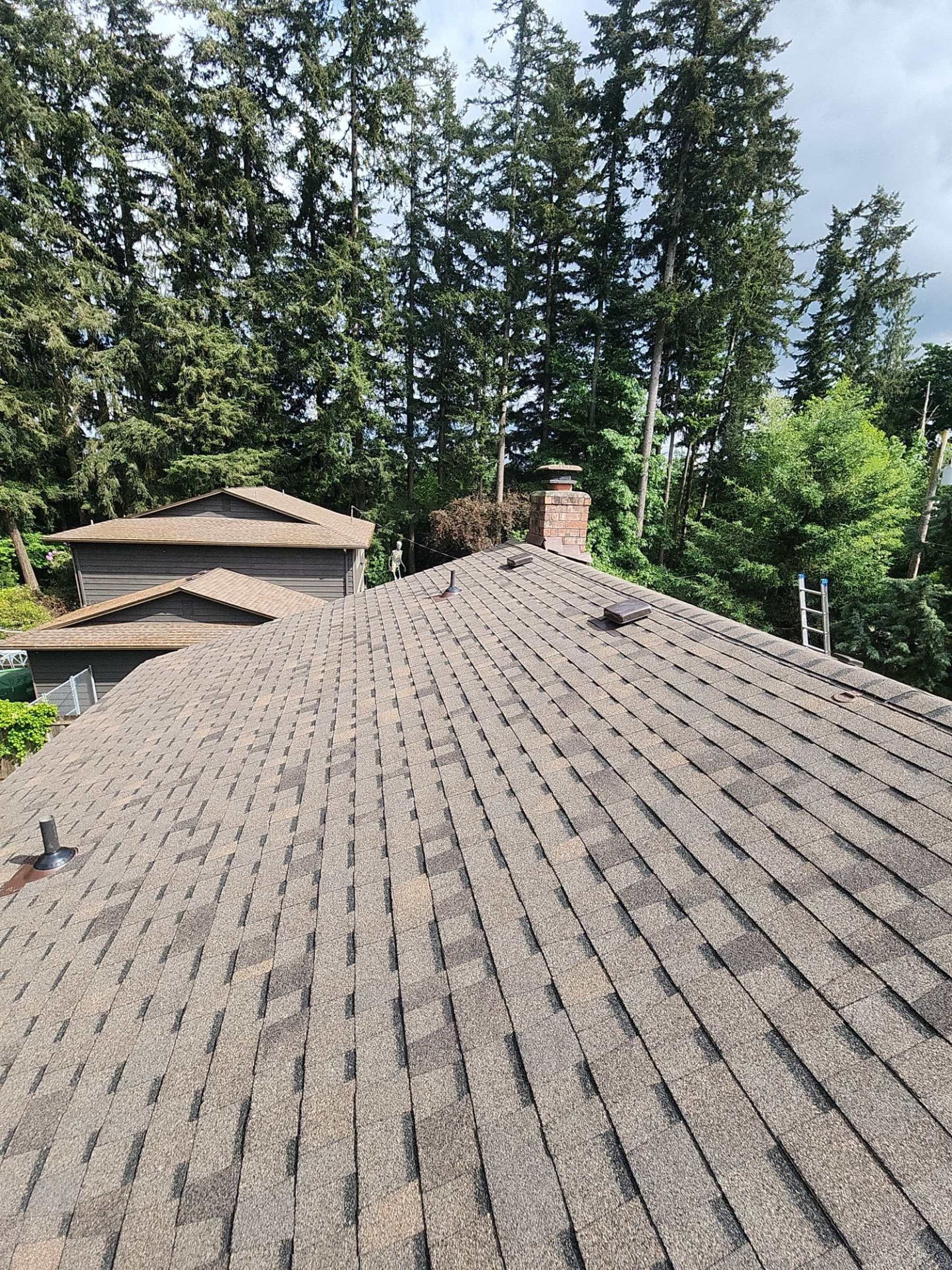 Ridge of the Pabco Oakwood asphalt shingle roof toward the chimney and evergreens, Lynnwood, WA