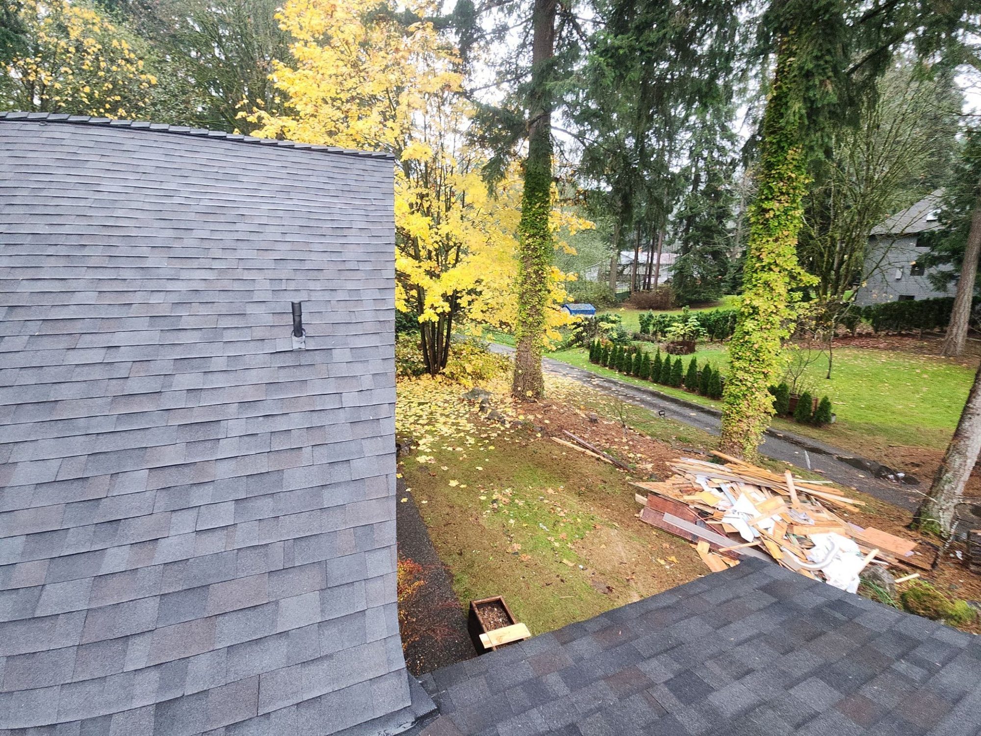 Finished Malarkey Vista Black Oak asphalt shingle roof beside the yellow maple, Woodinville, WA