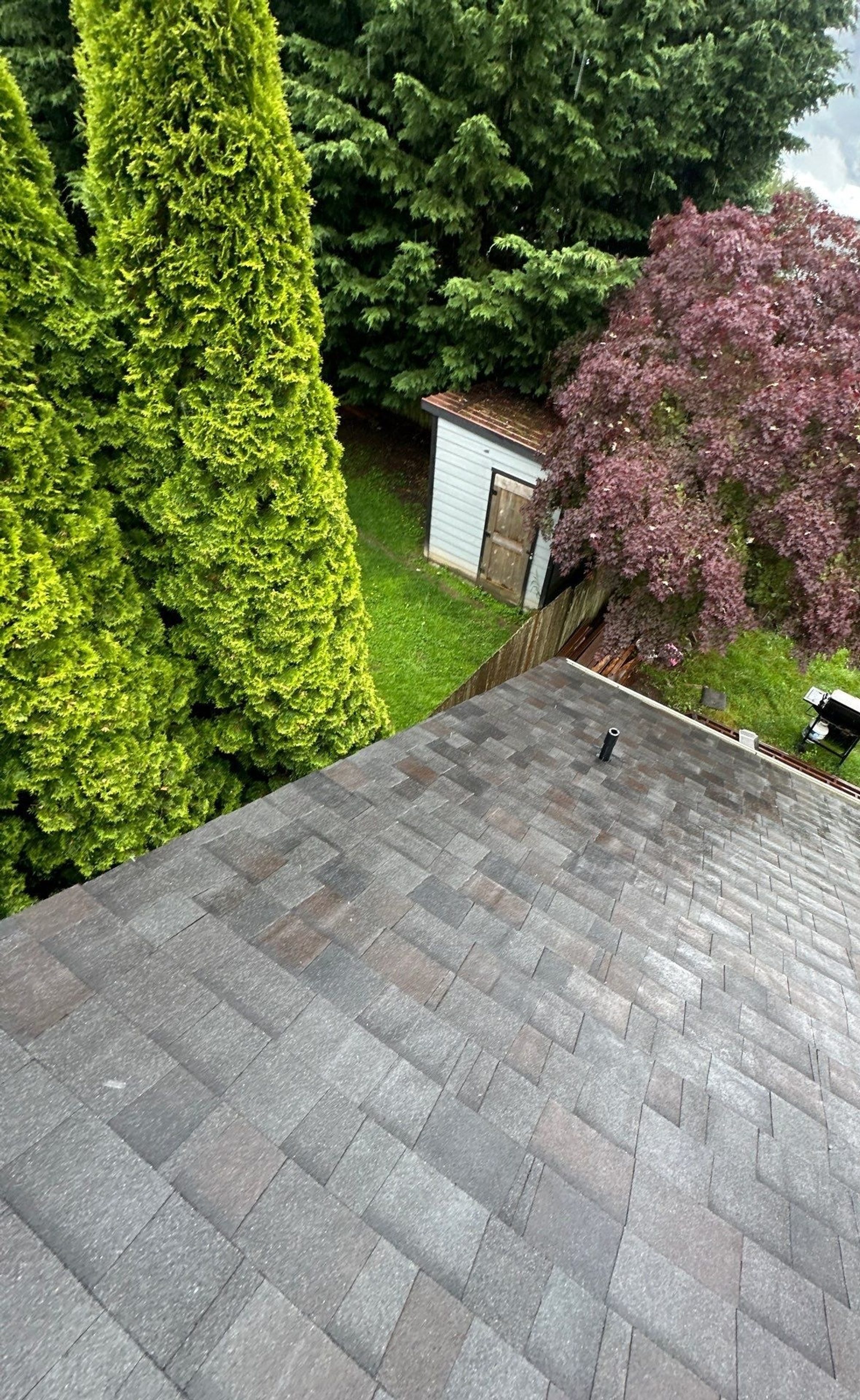Drone view of the finished Malarkey Vista Black Oak asphalt shingle roof, Lake Stevens, WA, by Amor Roofing