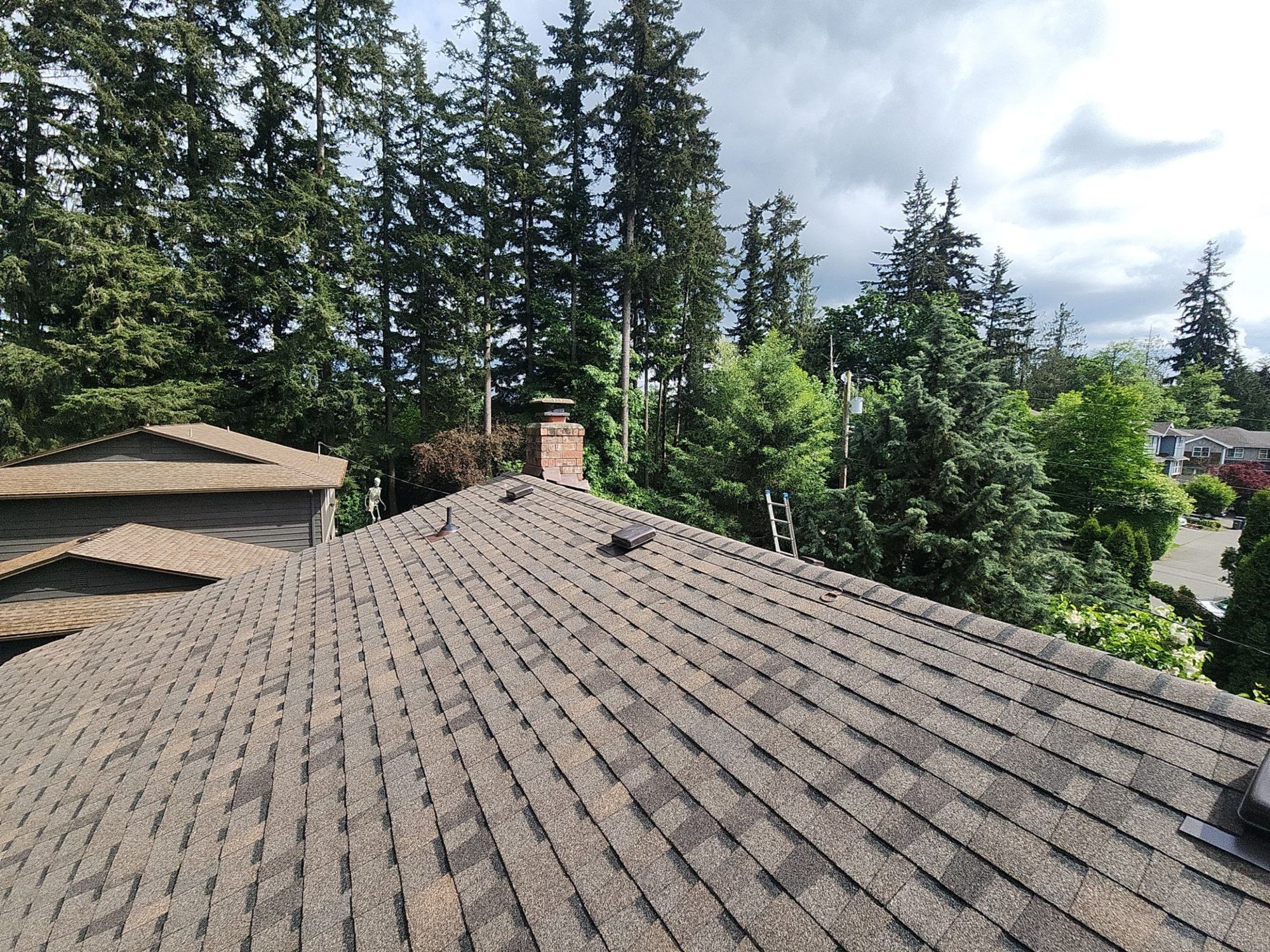 Finished Pabco Oakwood asphalt shingle roof with the chimney and neighboring home under a bright sky, Lynnwood, WA