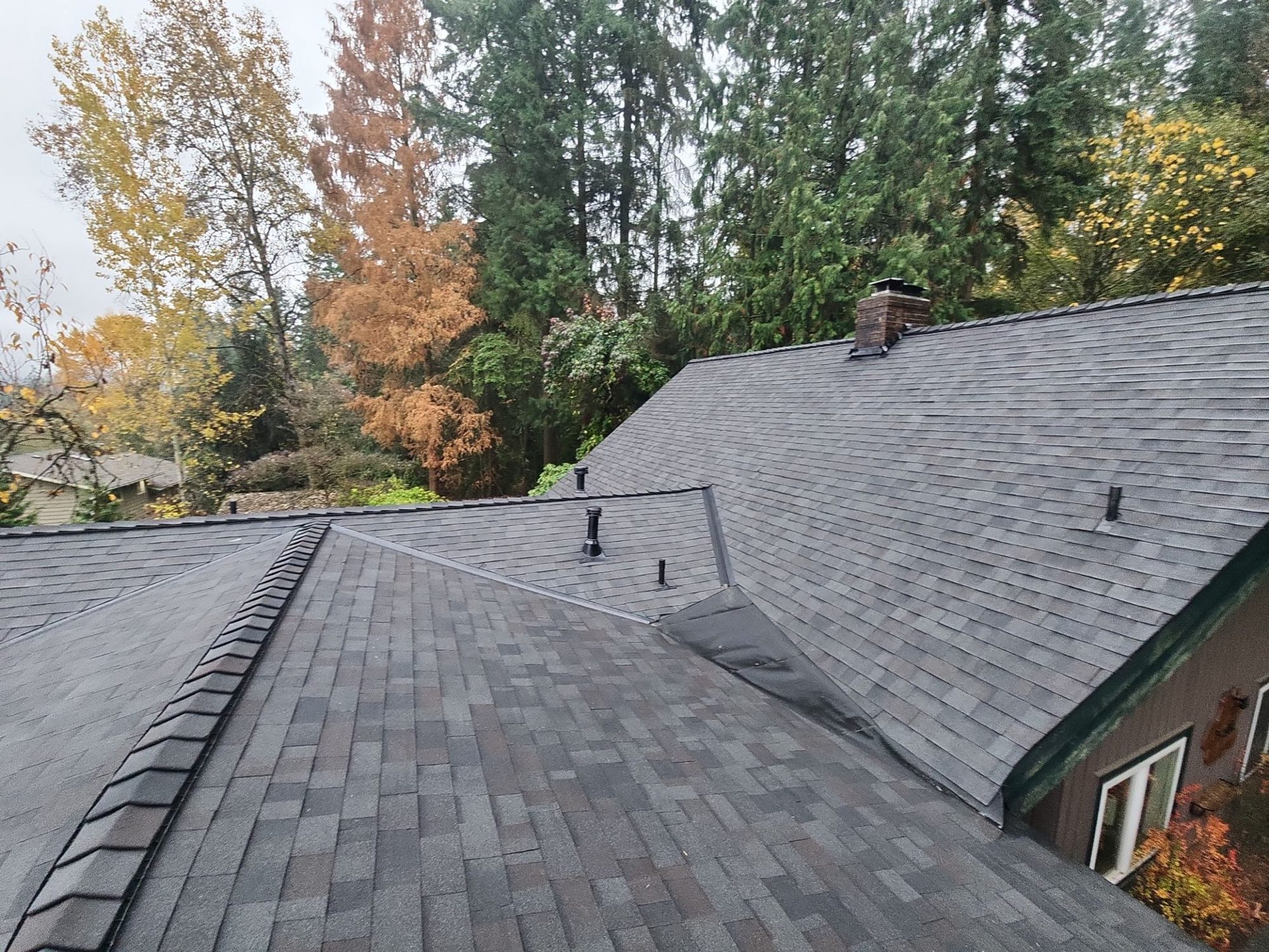 Amor Roofing Black Oak asphalt roof in Woodinville, wide roof 02