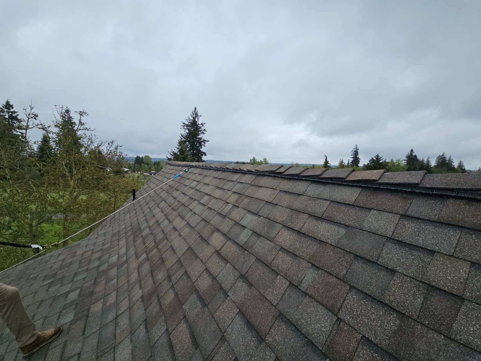 New Malarkey Vista shingles in Natural Wood running clean along the roof ridge