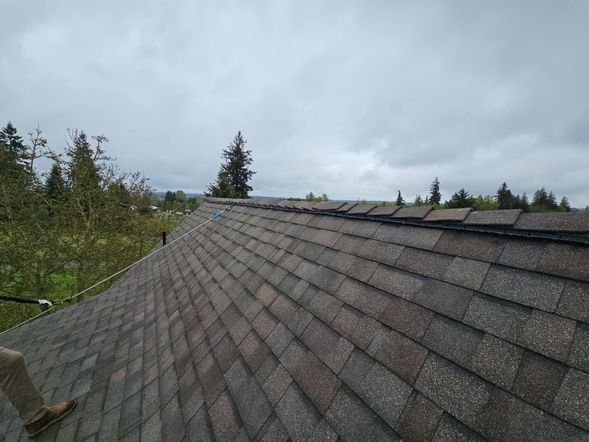 New Malarkey Vista shingles in Natural Wood running clean along the roof ridge