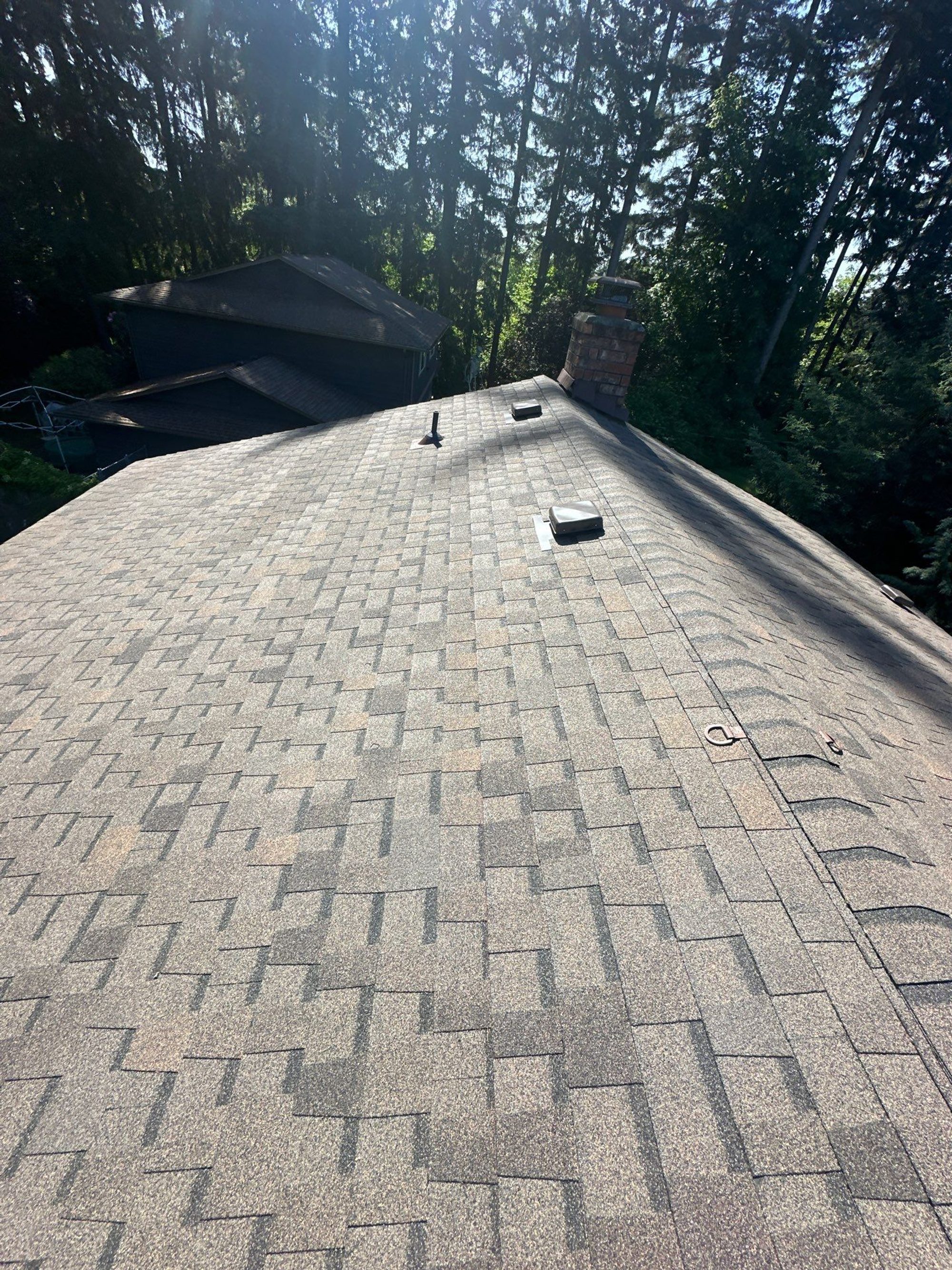 Amor Roofing Oakwood asphalt roof in Lynnwood, ridge chimney line