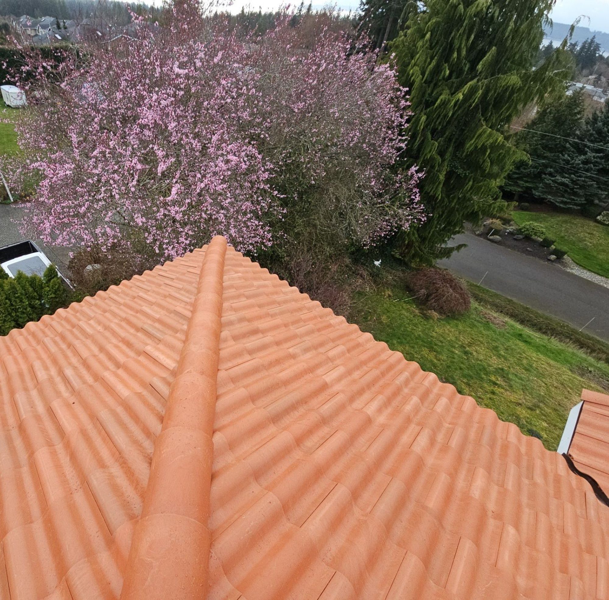 Ridge line of the Antique Clay Brava composite Spanish barrel tile roof with the neighborhood cherry blossoms, Mukilteo, WA