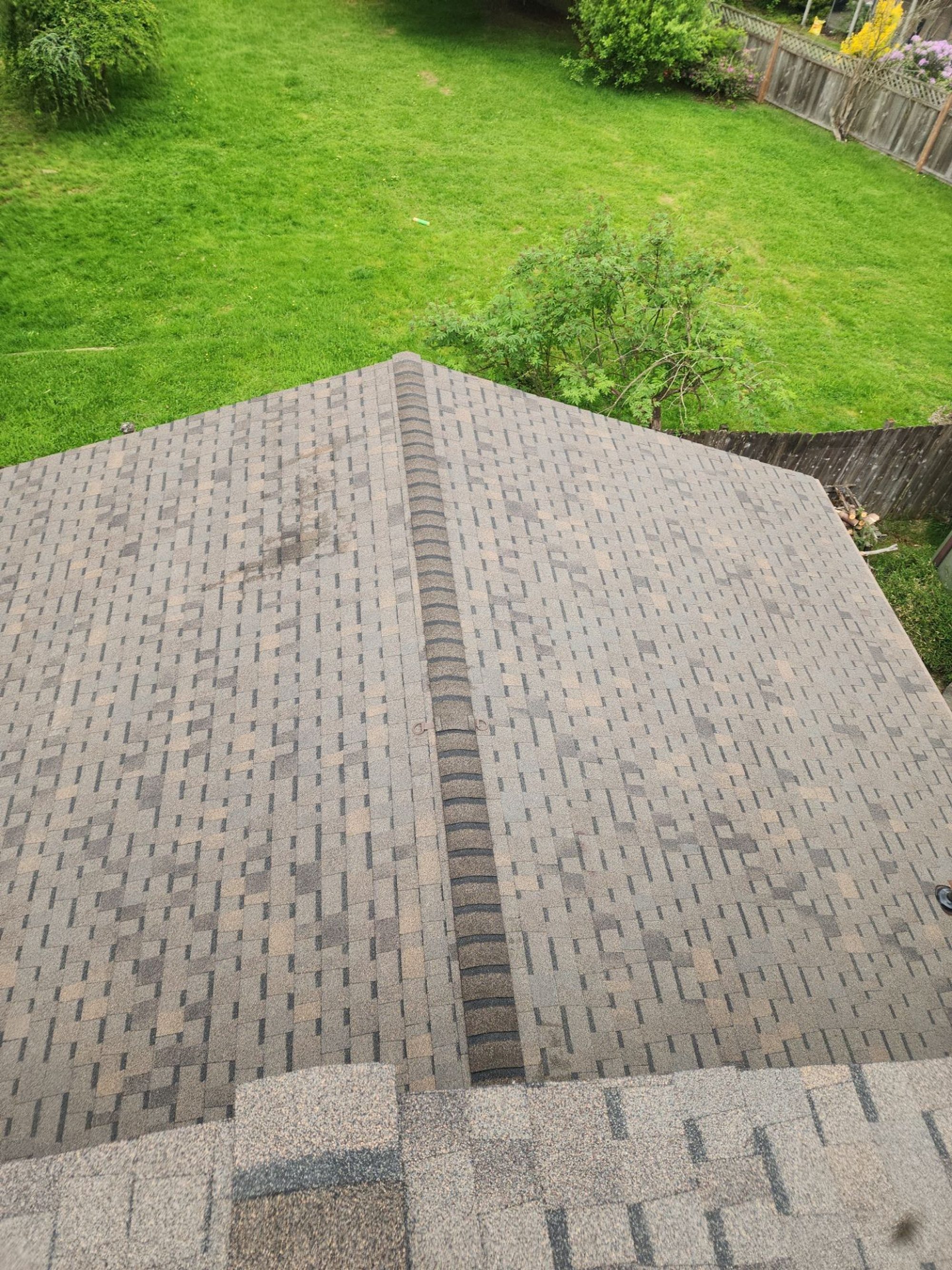 Ridge of the Pabco Oakwood asphalt shingle roof looking down to the lawn, Lynnwood, WA