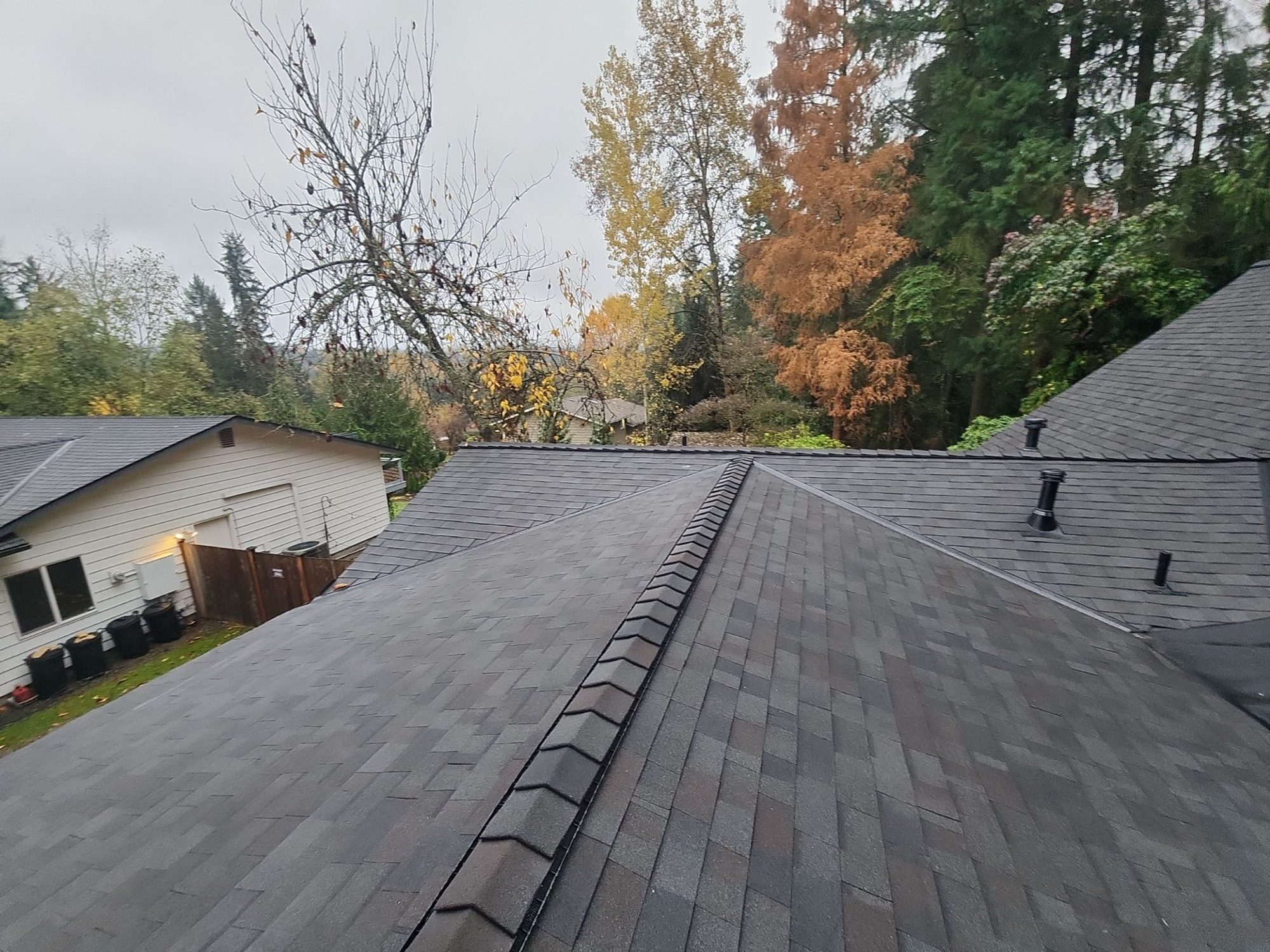 Ridge of the Malarkey Vista Black Oak asphalt shingle roof toward the neighboring home and orange trees, Woodinville, WA